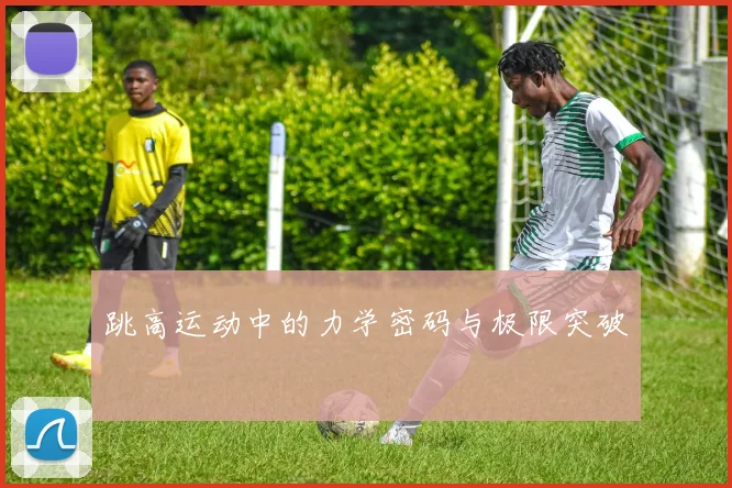 跳高运动中的力学密码与极限突破